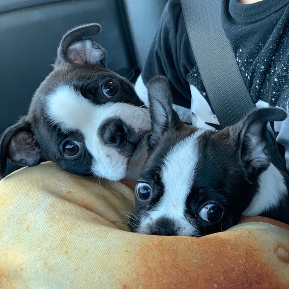 Meet your Posher, Wendi - Picture 1 of 1